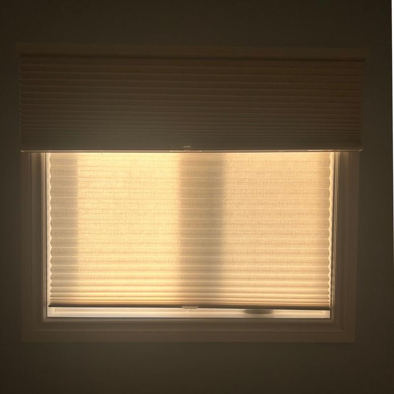 Hunter Douglas Applause Honeycomb